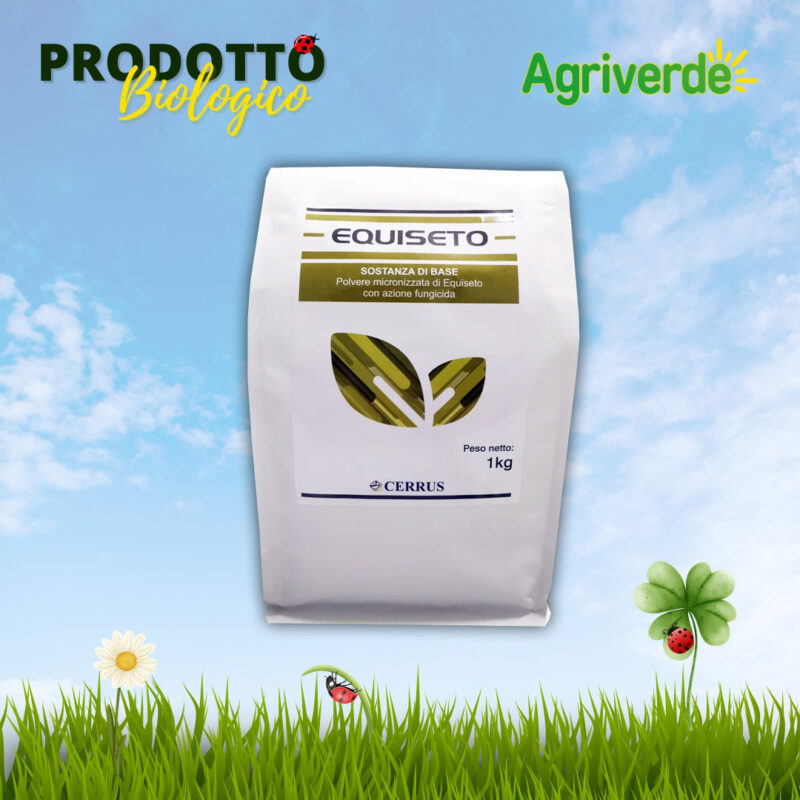 Polvere Vegetale Macerato Equiseto Agricoltura BIO 1 kg