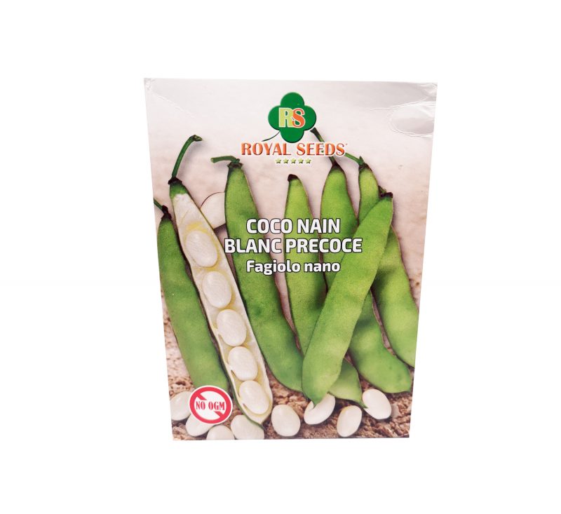 Sementi di Fagiolo nano Coco Nain Blanc Precoce 250 gr Royal Seeds