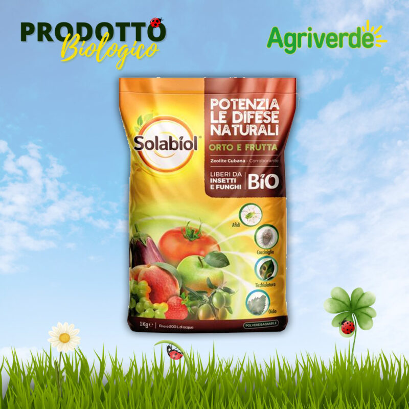 SOLABIOL Polvere di Roccia ZEOLITE Potenzia le difese naturali dell'Orto e Frutta 1 kg