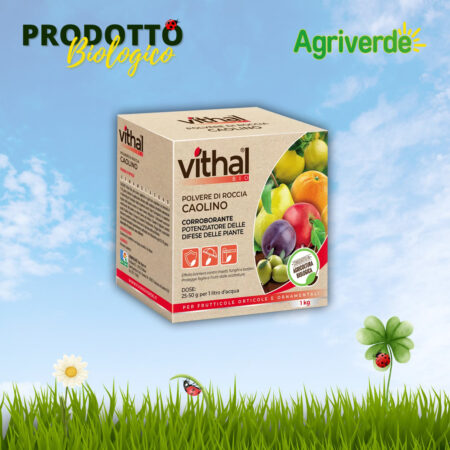 Polvere di roccia Caolino VITHAL BIO 1 kg