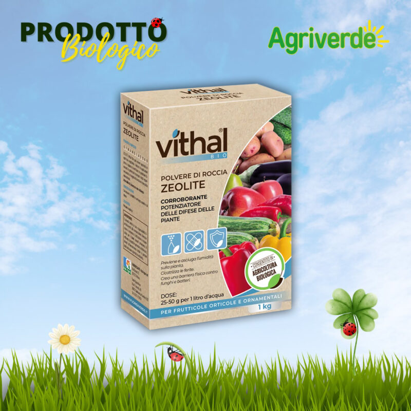 Polvere di roccia Zeolite VITHAL BIO 1 kg