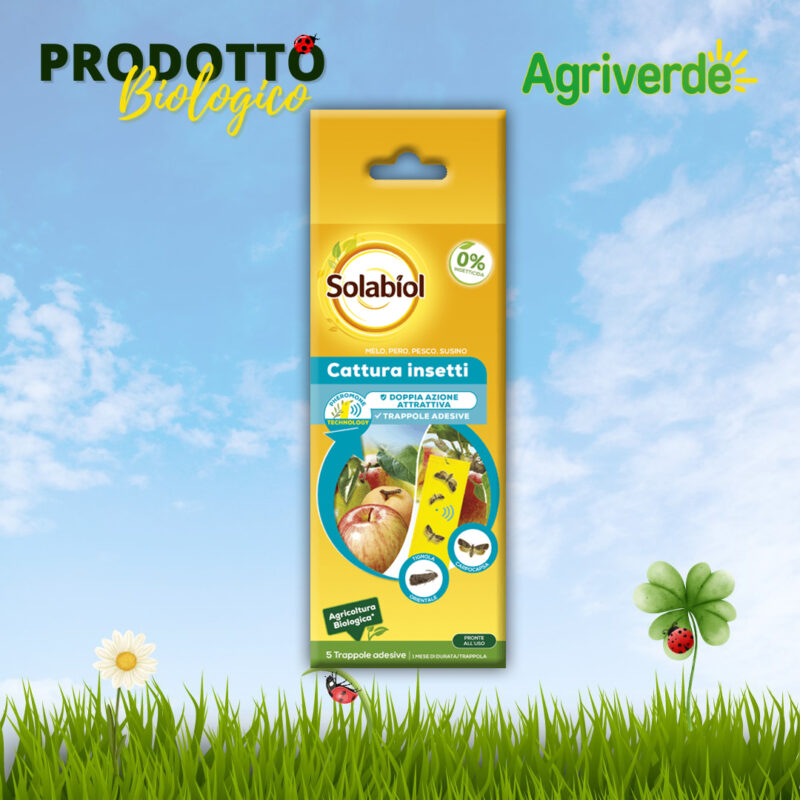 SOLABIOL Trappole Adesive Insetti Melo Pero Pesco Susino 5 Pz Con Feromoni