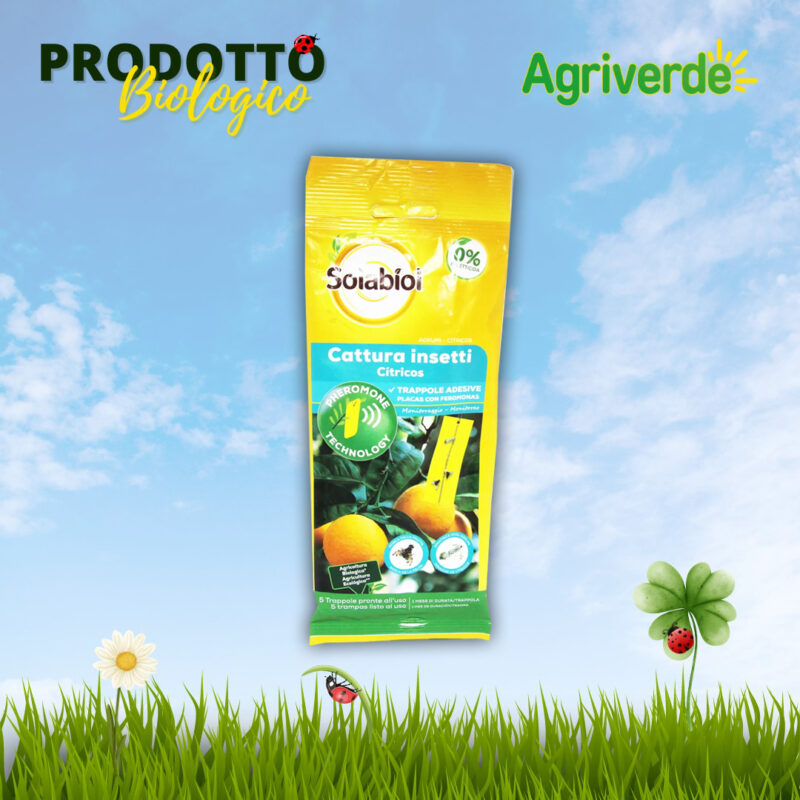 SOLABIOL Trappole Adesive Insetti degli Agrumi 5 Pz Con Feromoni