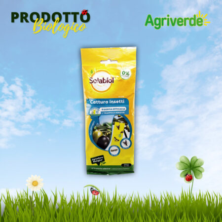 SOLABIOL Trappole Adesive per Mosca dell' Olivo 5 Pz con Feromoni