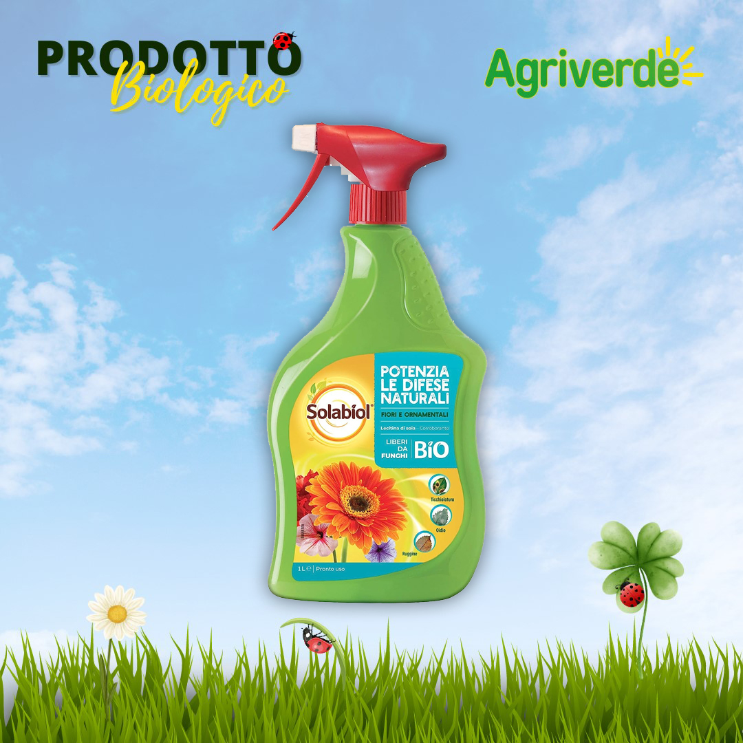 VerdeVivo Sapone Molle di Potassio 100% Naturale, Spray Pronto all'uso per  Orto, Frutta e piante ornamentali