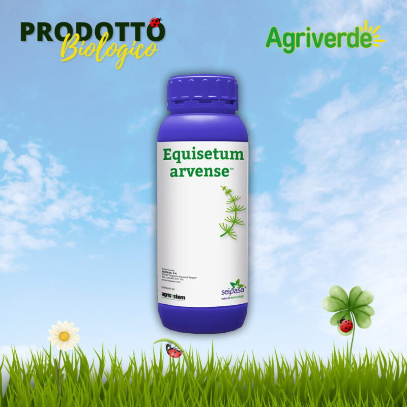 Equisetum Arvense Fungicida naturale a base di equiseto 1 lt