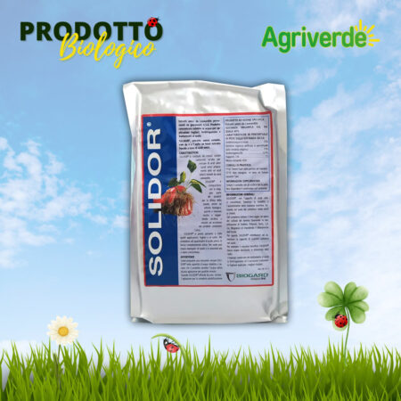 Concime Estratti Umici da Leonardite in Cristalli Solubili SOLIDOR 1 Kg Biogard