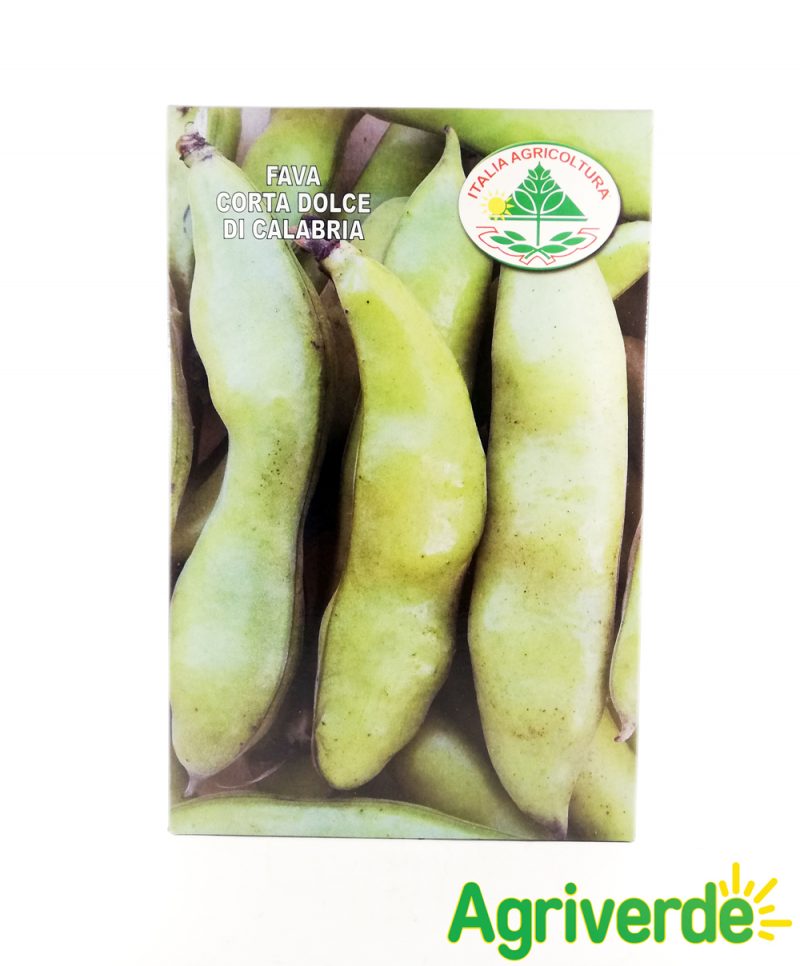 Sementi Fava Corta Dolce di Calabria 1 Kg - Italia Agricoltura