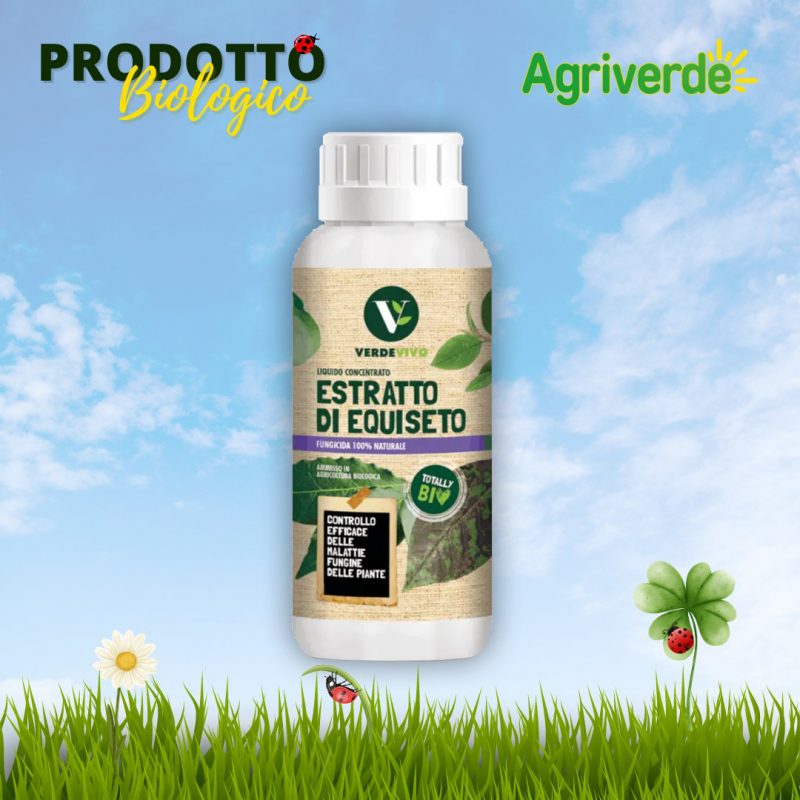 Estratto di Equiseto Verde Vivo  ml500