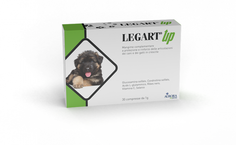 LEGART  UP  30 Cpr