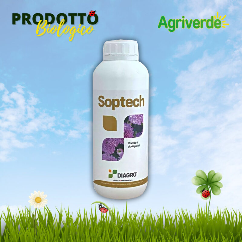 Soptech da Lt 1